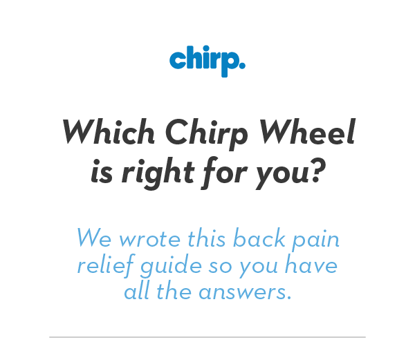 Chirp The Chirp Wheel Size Guide Milled
