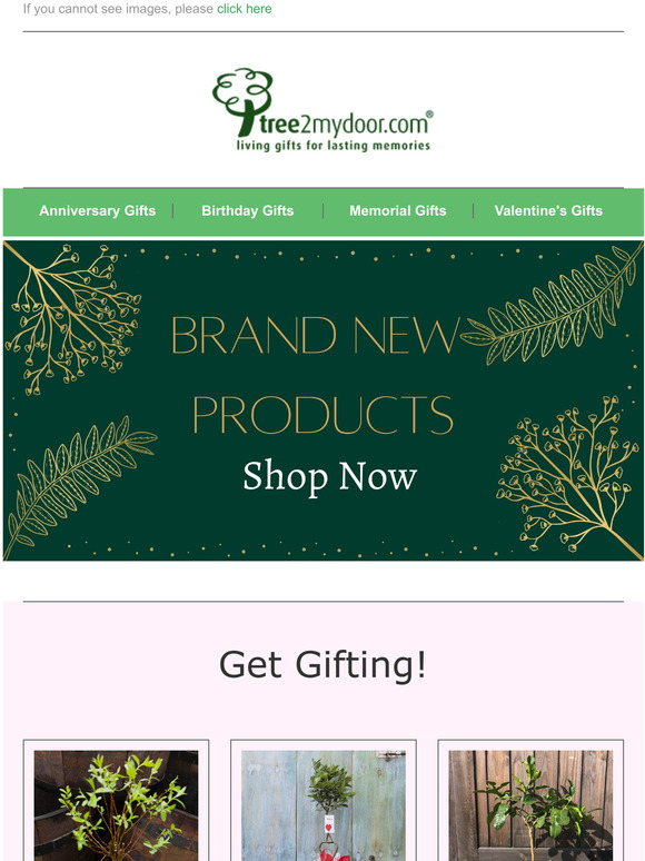 Quick! New Stock Now In