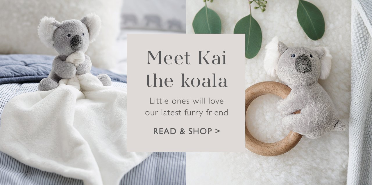 Meet Kai the koala | READ & SHOP