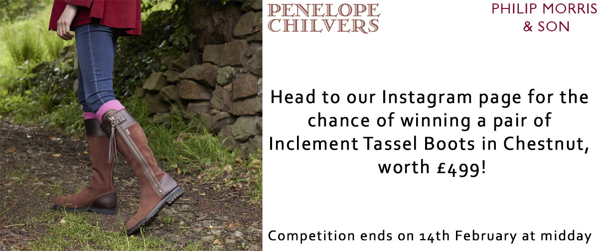 Penelope Chilvers | Philip Morris & Son | Competition