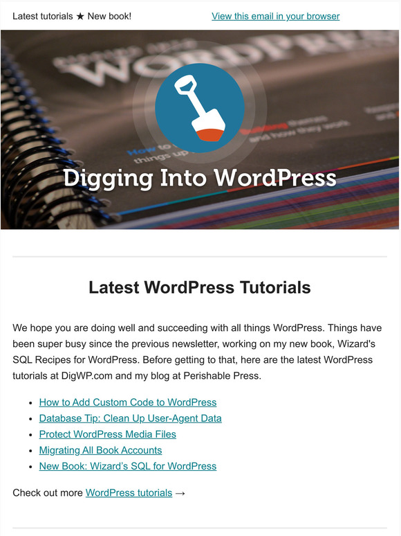 Latest news, tips and deals from DigWP.com