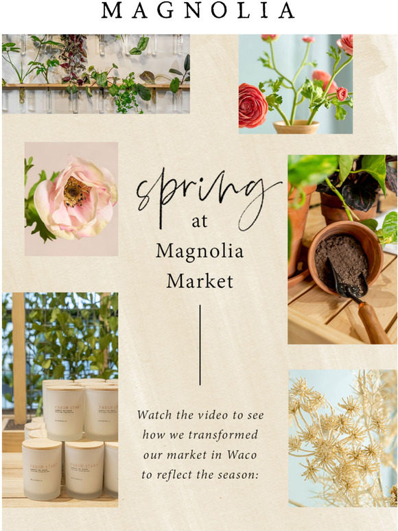 Magnolia Email Newsletters Shop Sales, Discounts, and Coupon Codes