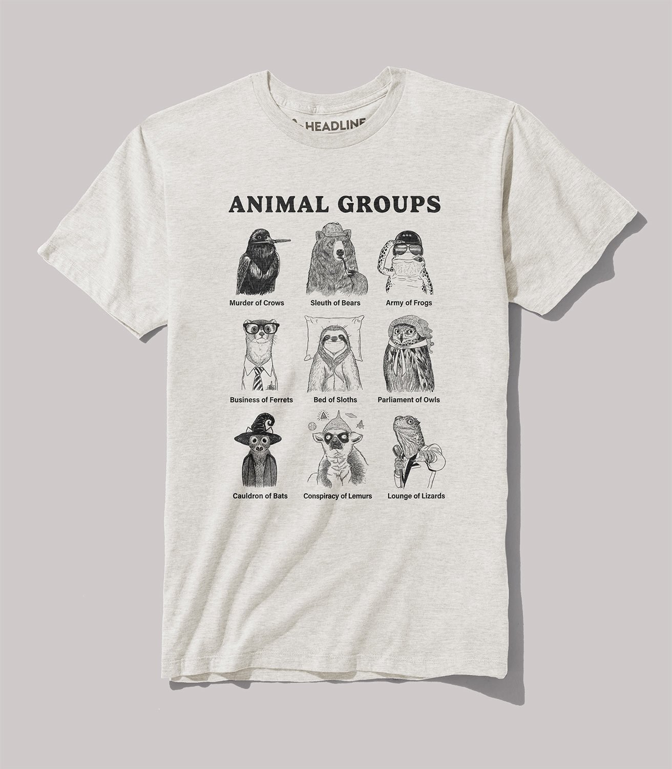 Image of Animal Groups