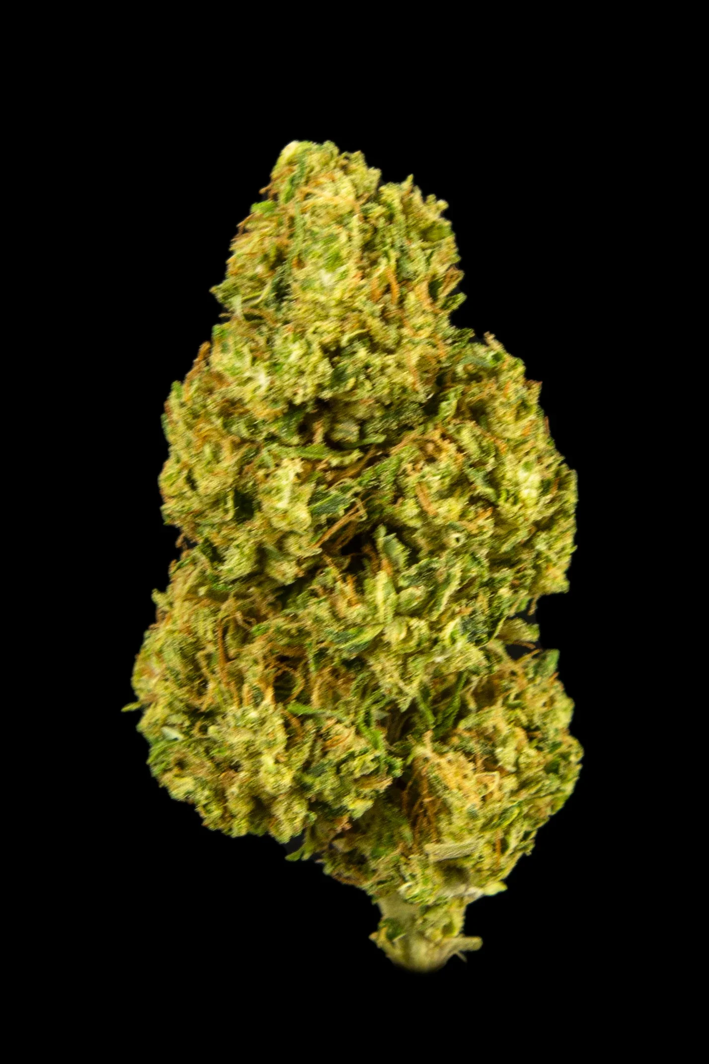 Image of Bammmer Sour Space Candy CBD Flower