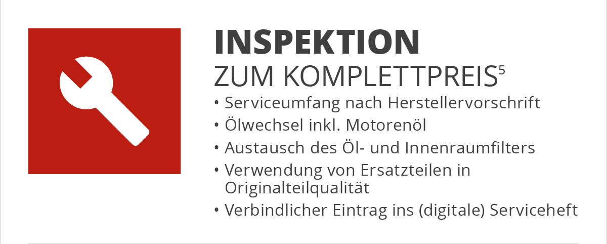 Inspektion nach Herstellervorgaben