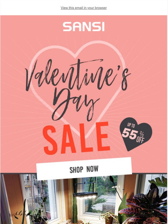 LAST CHANCE! Shop Last Minute Valentines Day Gifts