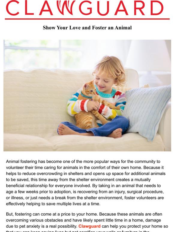 Show Your Love By Fostering an Animal