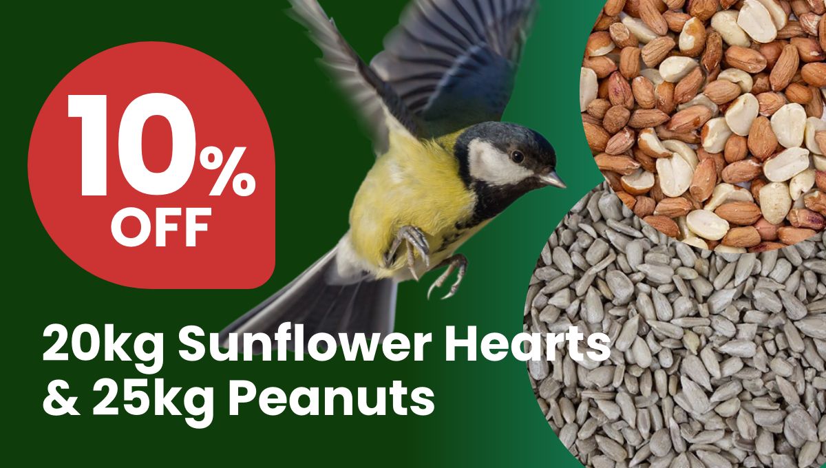 cheapest sunflower hearts 20kg