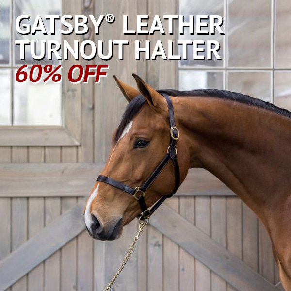 Gatsby® Leather Turnout Halter