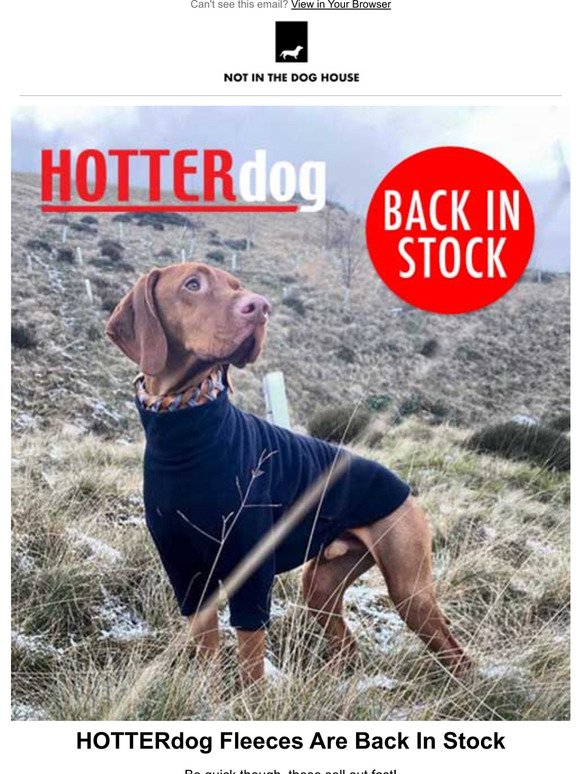  HOTTERdog: Back In Stock