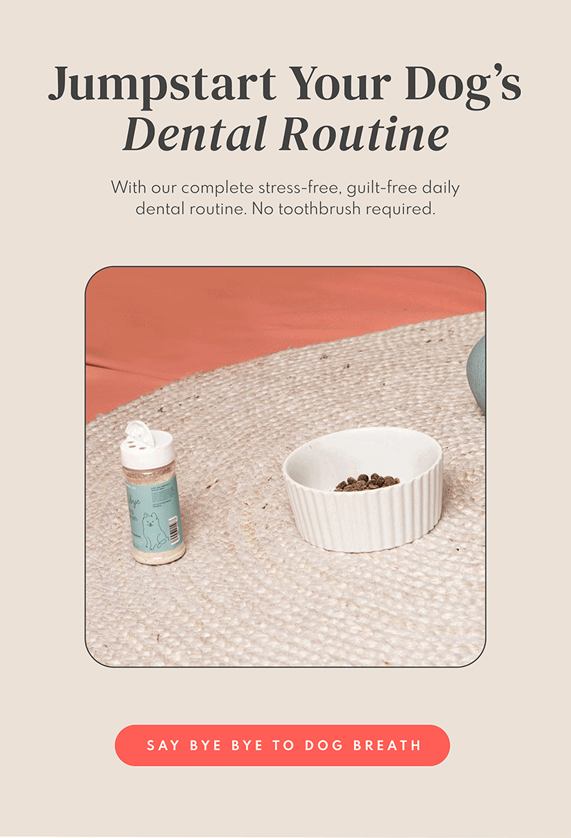 This Dog's Life Meet Our Best Selling Pup Dental Product Milled