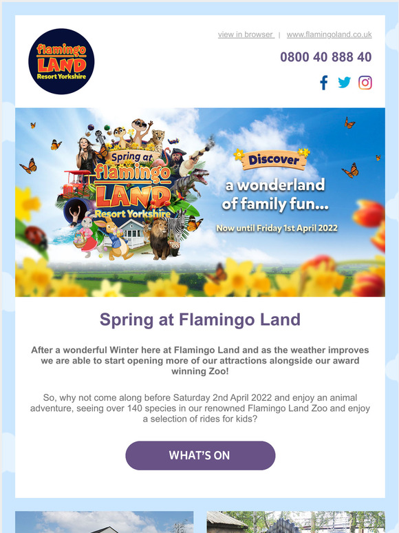 Spring at Flamingo Land