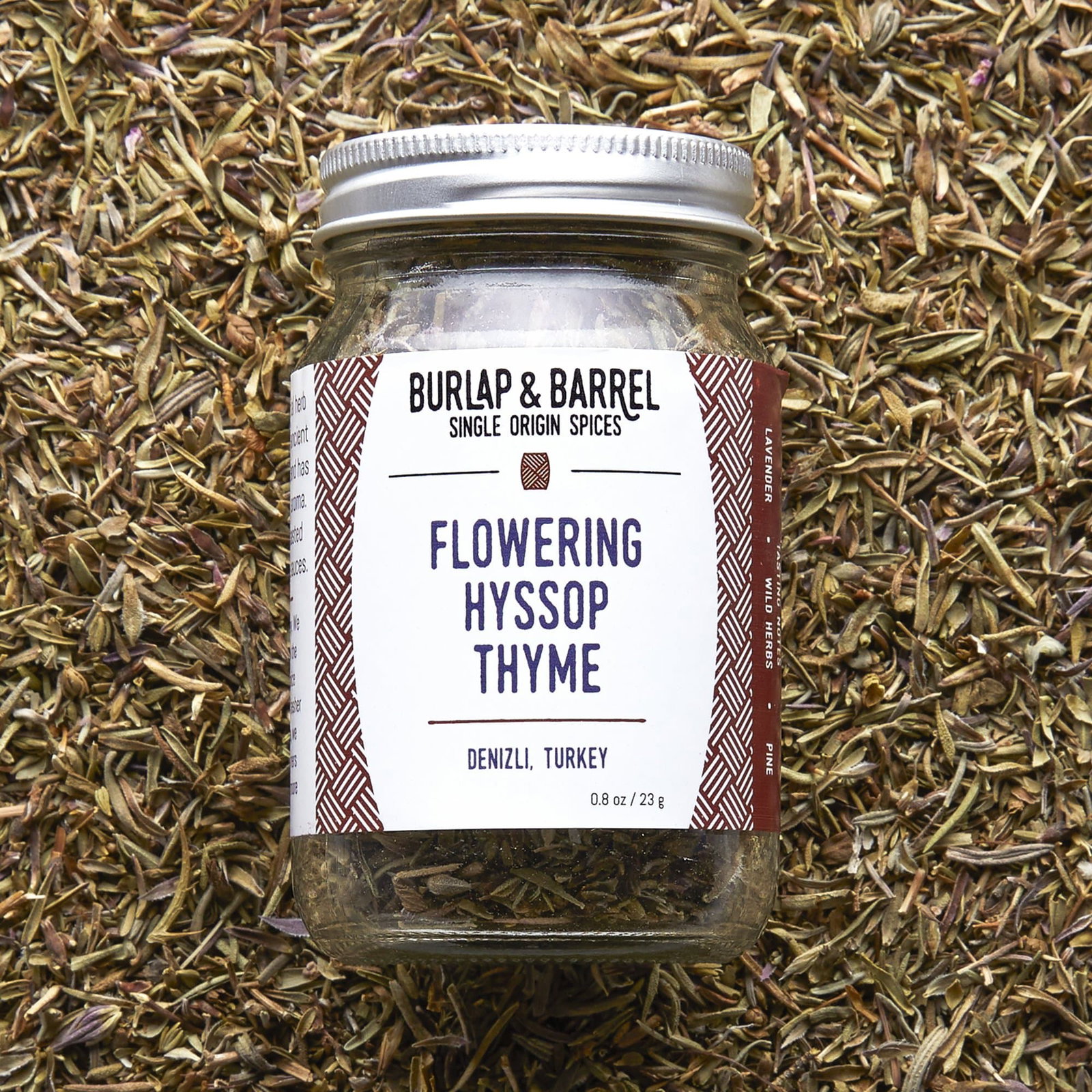 Image of Flowering Hyssop Thyme