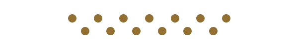 new section divider