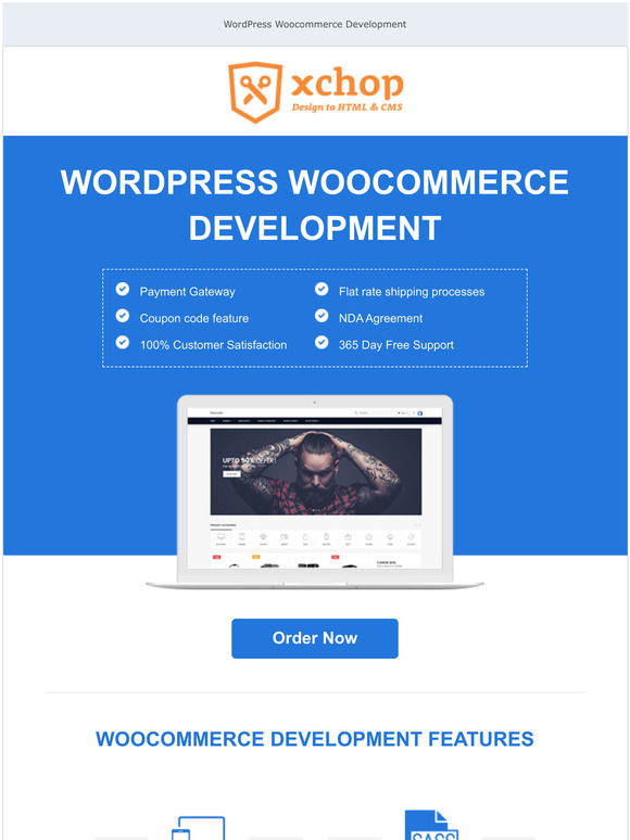 WordPress WooCommerce Development Service