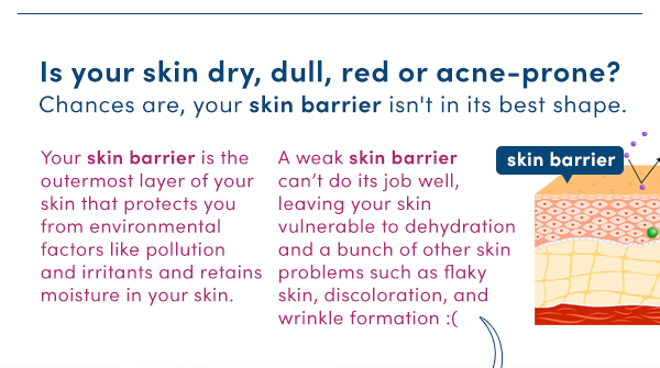 Is your skin dry, dull, red or acne prone?