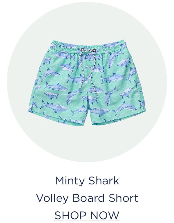 Minty Shark Volley Board Short