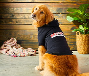 Pet-Parent Essentials