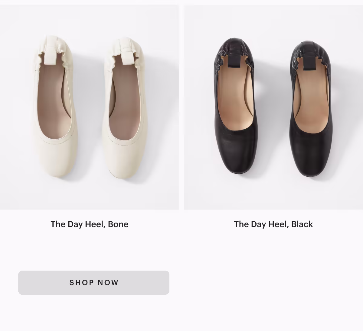[ SHOP NOW ]