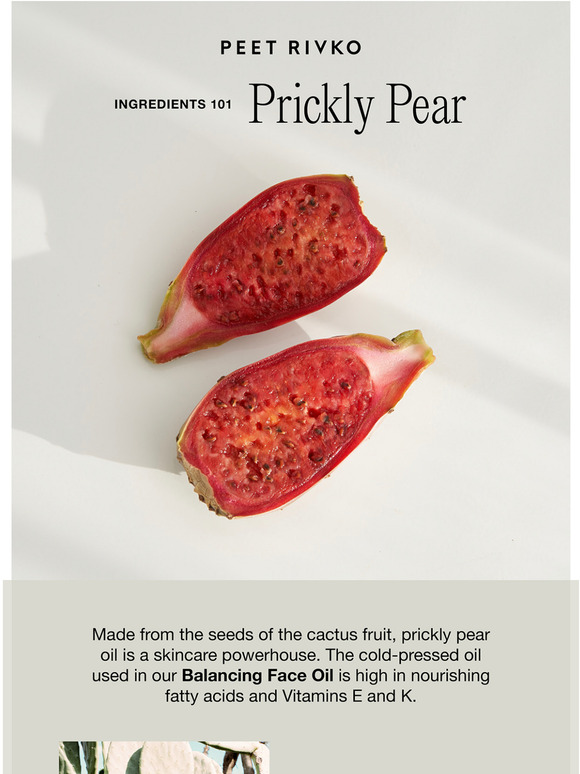 Prickly Pear Oil: Our Holy Grail Ingredient
