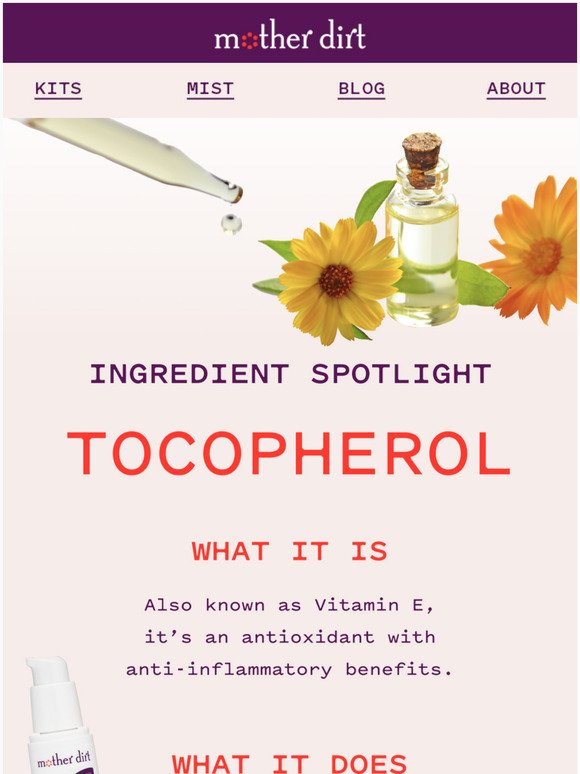 Ingredients We Love and Why: Tocopherol