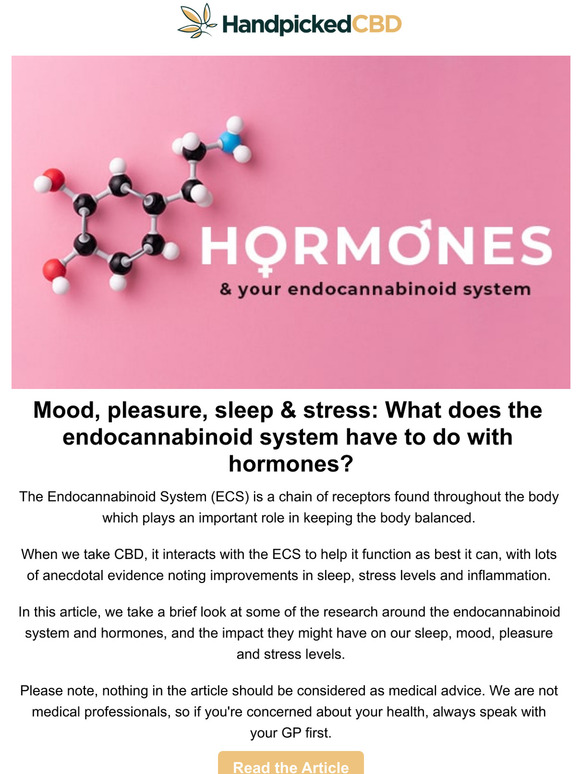 Hormones & Your Endocannabinoid System