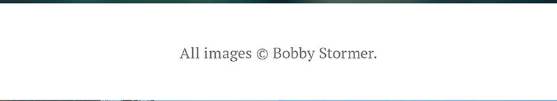 Al Images Copyright Bobby Stormer