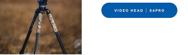 Video Head | S6PRO