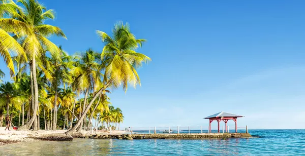 En toute intimité au sein d'un jardin tropical