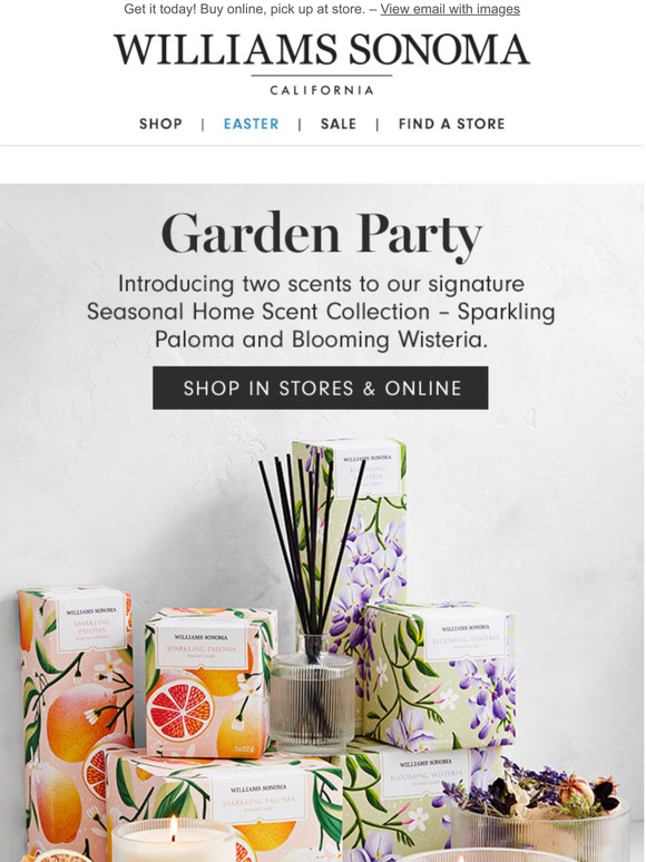 West Elm Introducing 2 NEW scents Blooming Wisteria and