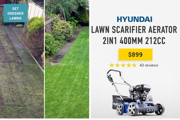 Scarifier