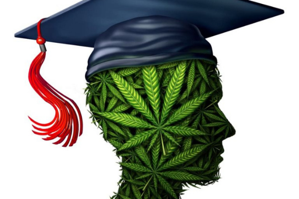 Study: College Students Who Use Marijuana Are More Motivated