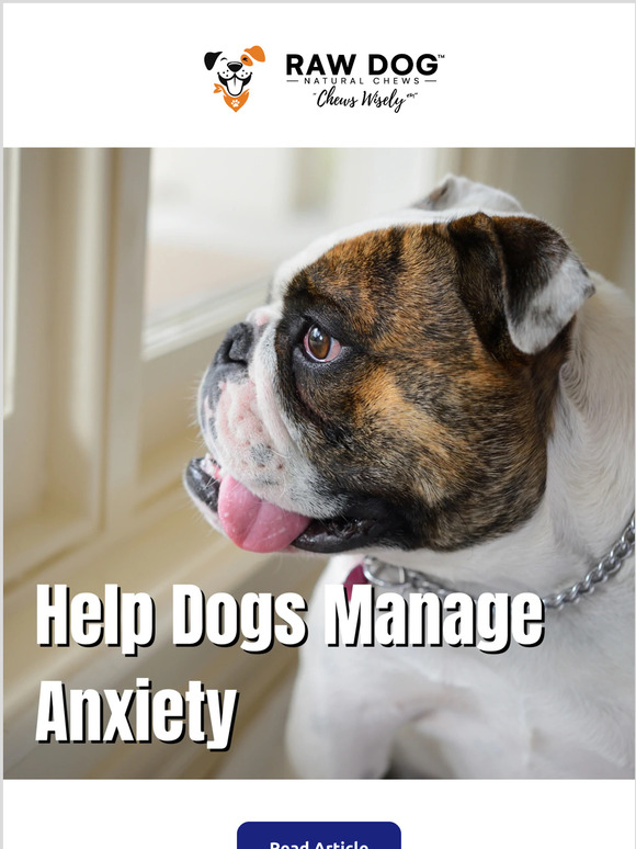 [BLOG] How to Help Dogs Manage Anxiety