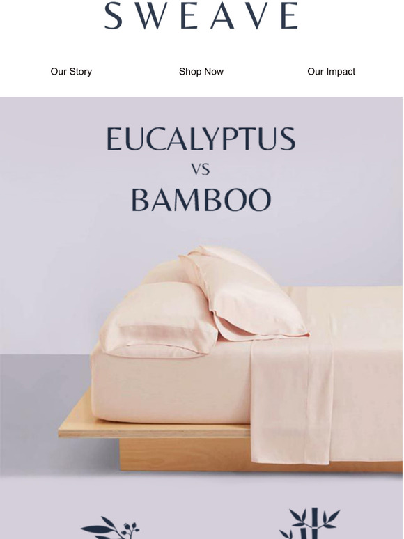 Eucalyptus vs Bamboo - Which One Is Perfect For You?