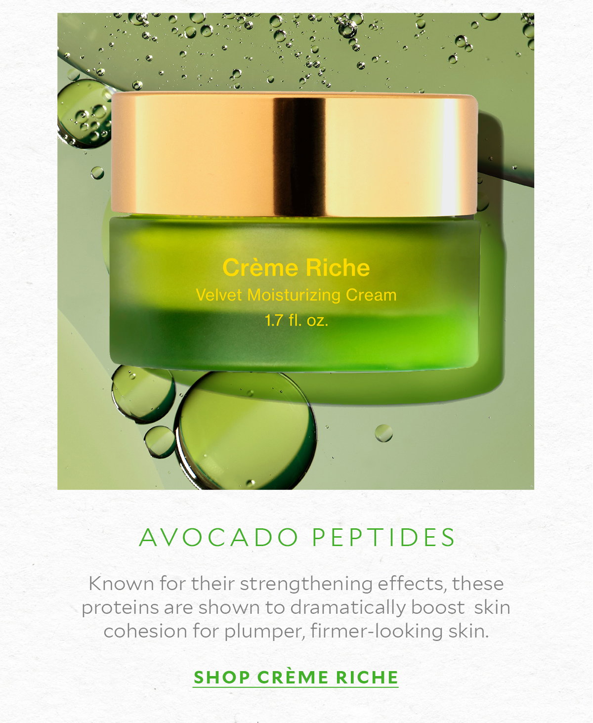 Crème Riche