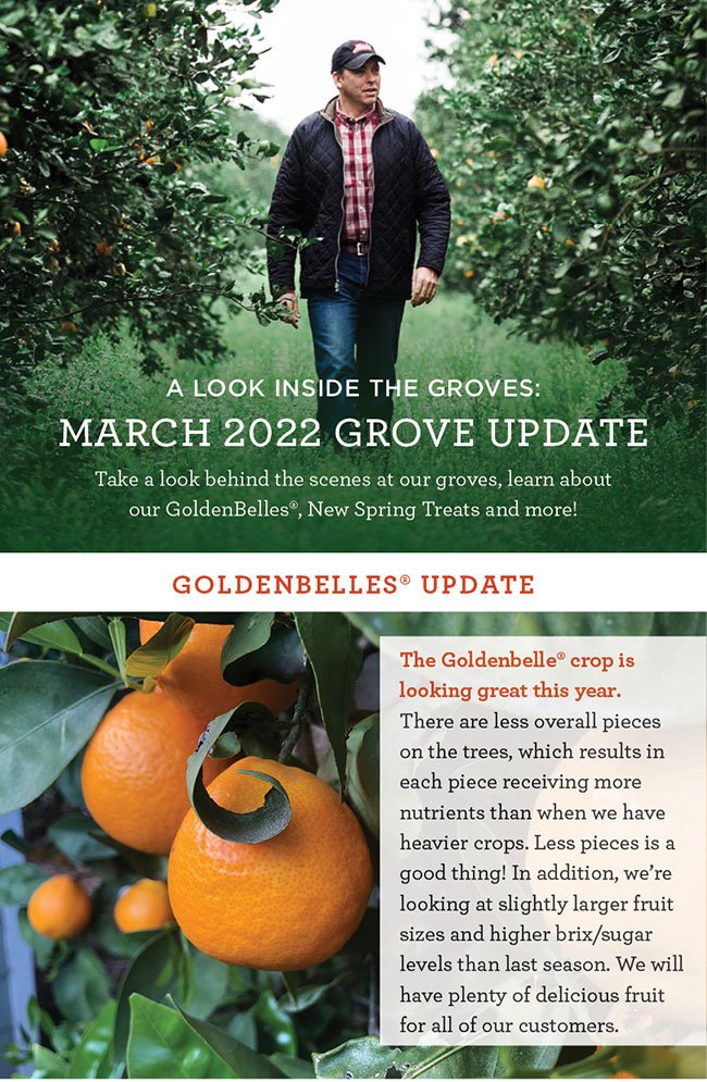Grove Update Newsletter