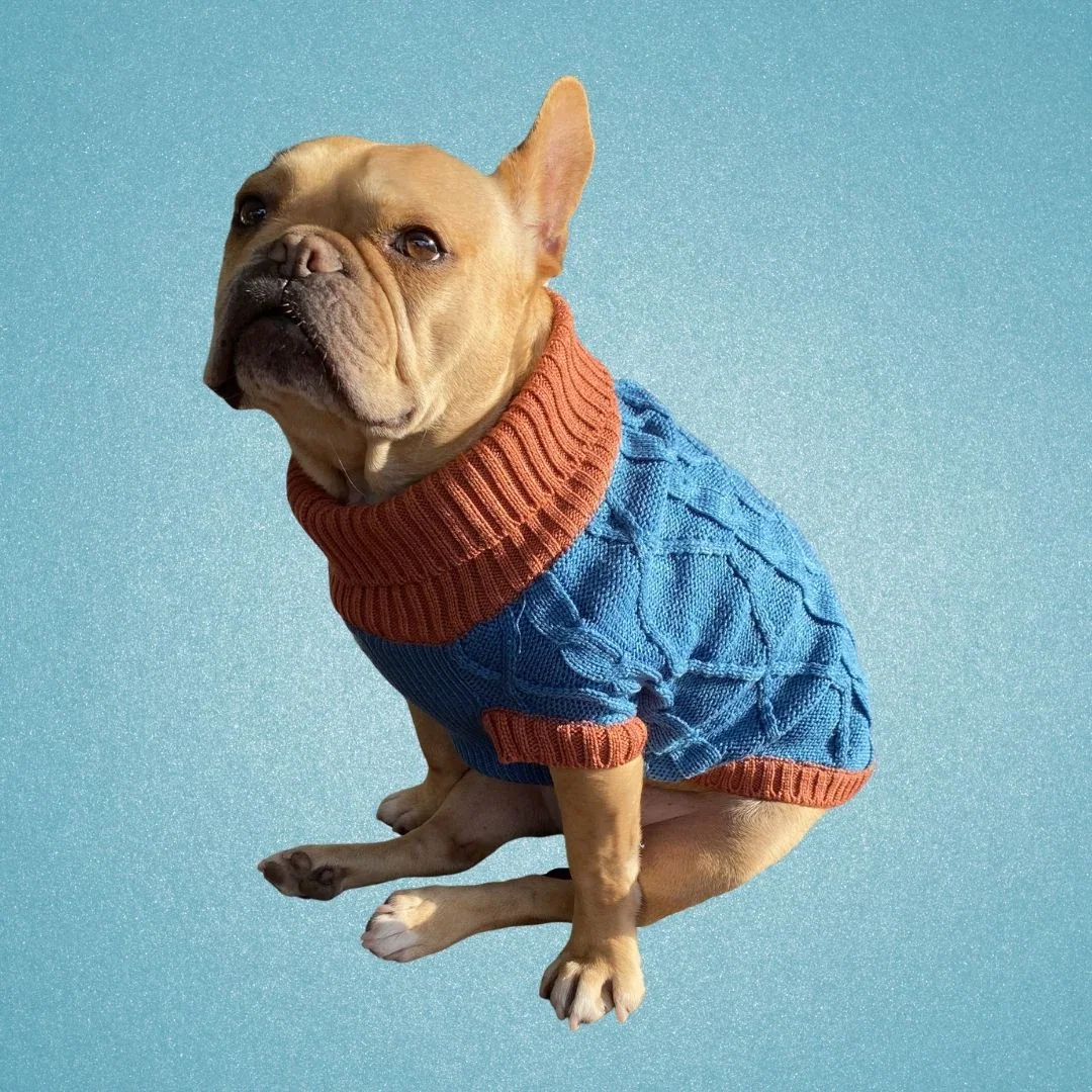 Image of Cleto el Influencer -  Suéter abuelita Azul XCH