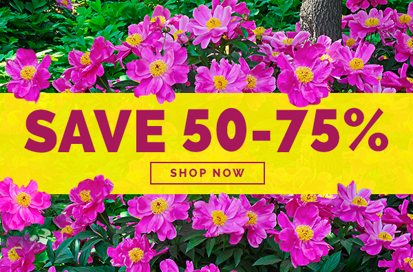 Breck's: Spring Planting Sale: 50-75% OFF | Milled