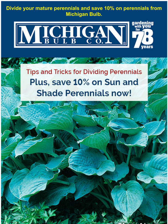 Michigan Bulb Company Sharpen your perennial prowess Milled