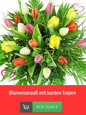 Blumenstrauß bunte Tulpen!