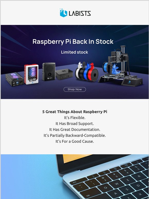 LABISTS has a small number of Raspberry Pis in stock. Choose the one that suits you!