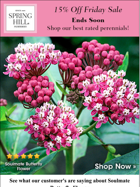 Spring Hill Nursery These are our best rated perennials! Milled