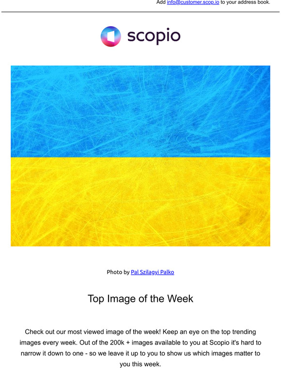 See whats trending weekly!