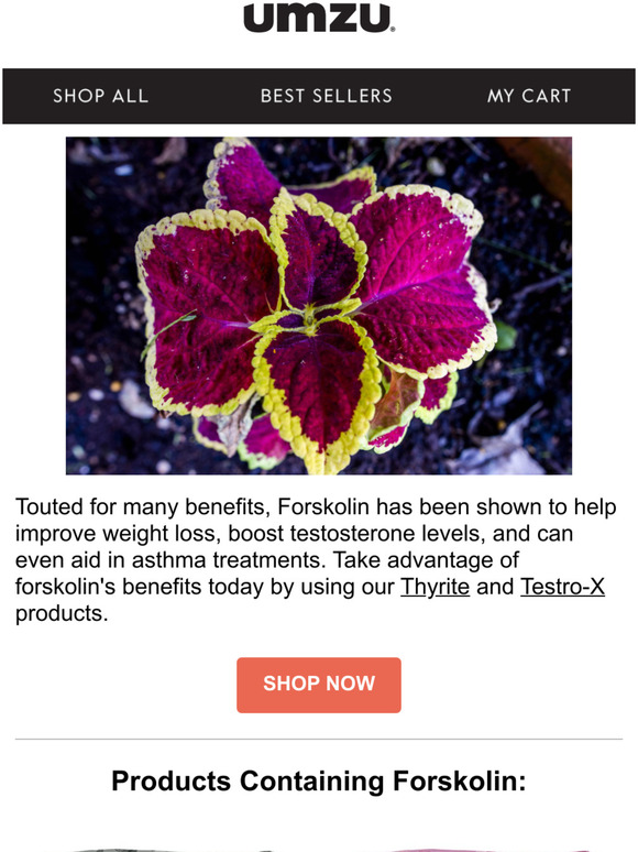 UMZU This key ingredient in Thyrite and TestroX has multiple benefits