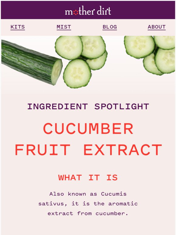 Ingredients We Love and Why: Cucumber Fruit Extract 