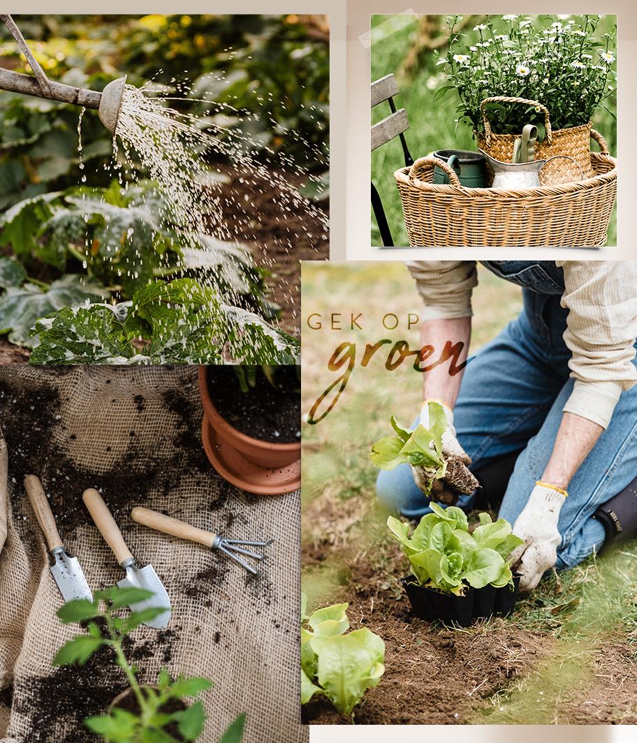 Westwing De Je Tuin Zomerklaar Maken Zo Doe Je Dat Milled