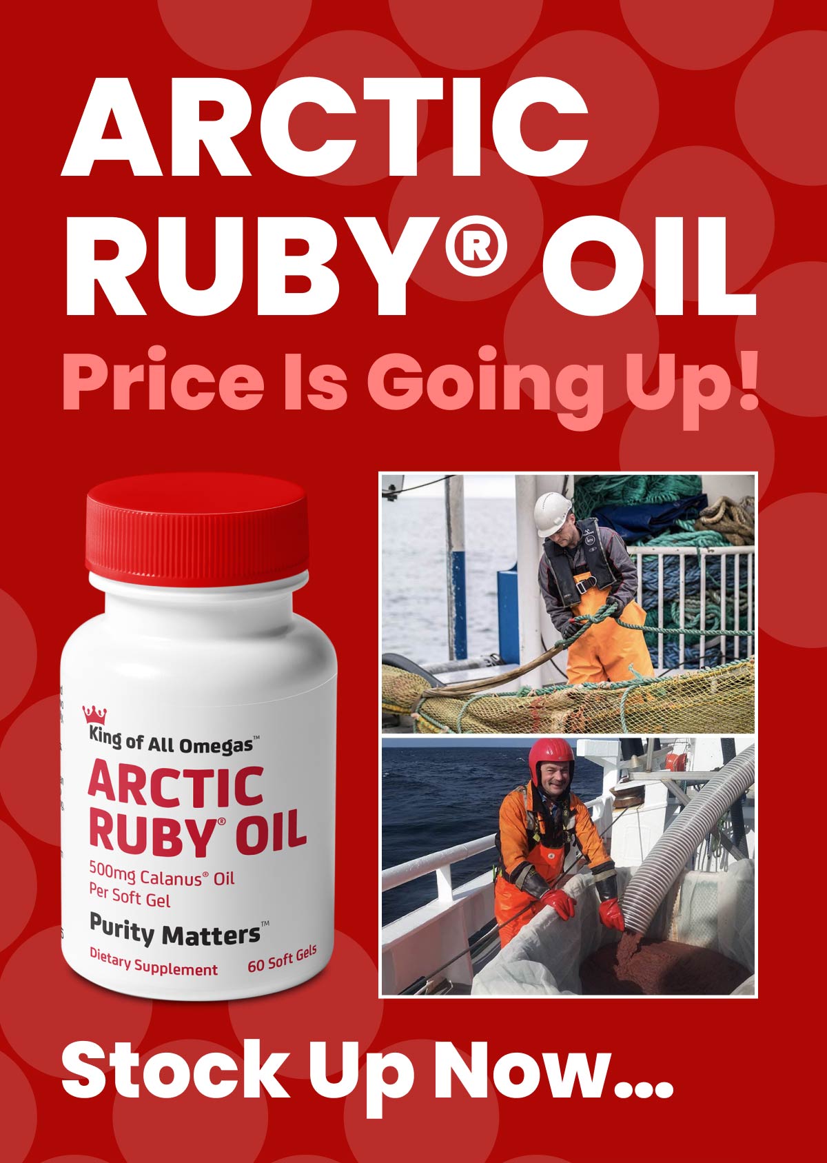 IMMUNOCORP Arctic Ruby OilPrices Are Going Up Milled