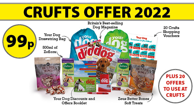 Crufts zoflora best sale