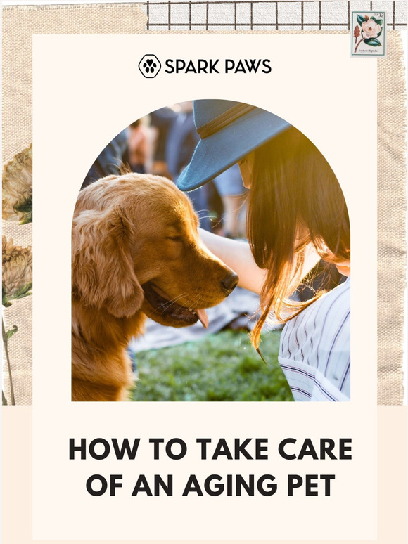 Spark Paws Email Newsletters Shop Sales, Discounts, and Coupon Codes