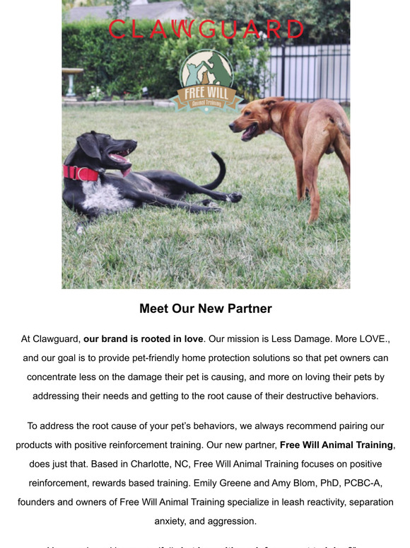 Meet our new partner!